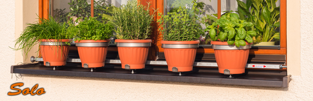 Haltebuegeltyp Solo fuer Blumentoepfe