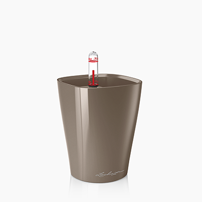 MINI-DELTINI taupe hochglanz