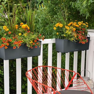BALCONERA Color 50 wei