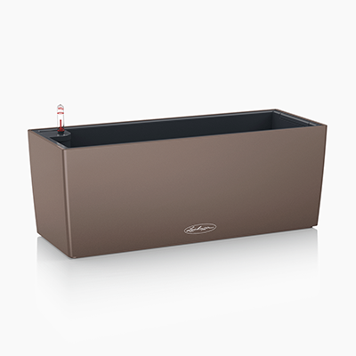 BALCONERA Color 50 muskat