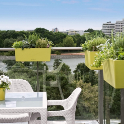 BALCONERA Color 50 muskat