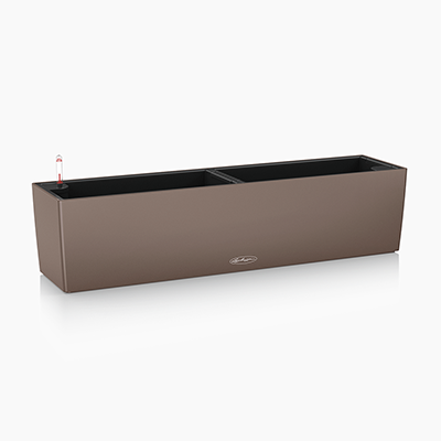 BALCONERA Color 80 muskat