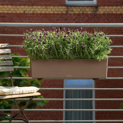 BALCONERA Color 80 muskat