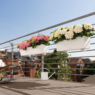 BALCONERA Color 80 muskat