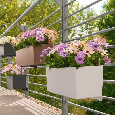 BALCONERA Color 80 muskat