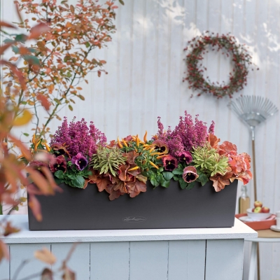 BALCONERA Color 80 muskat mit Halterung