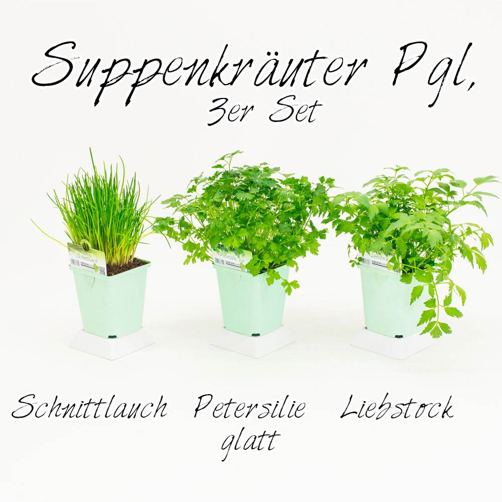 Suppenkruter Pgl, 3er Set