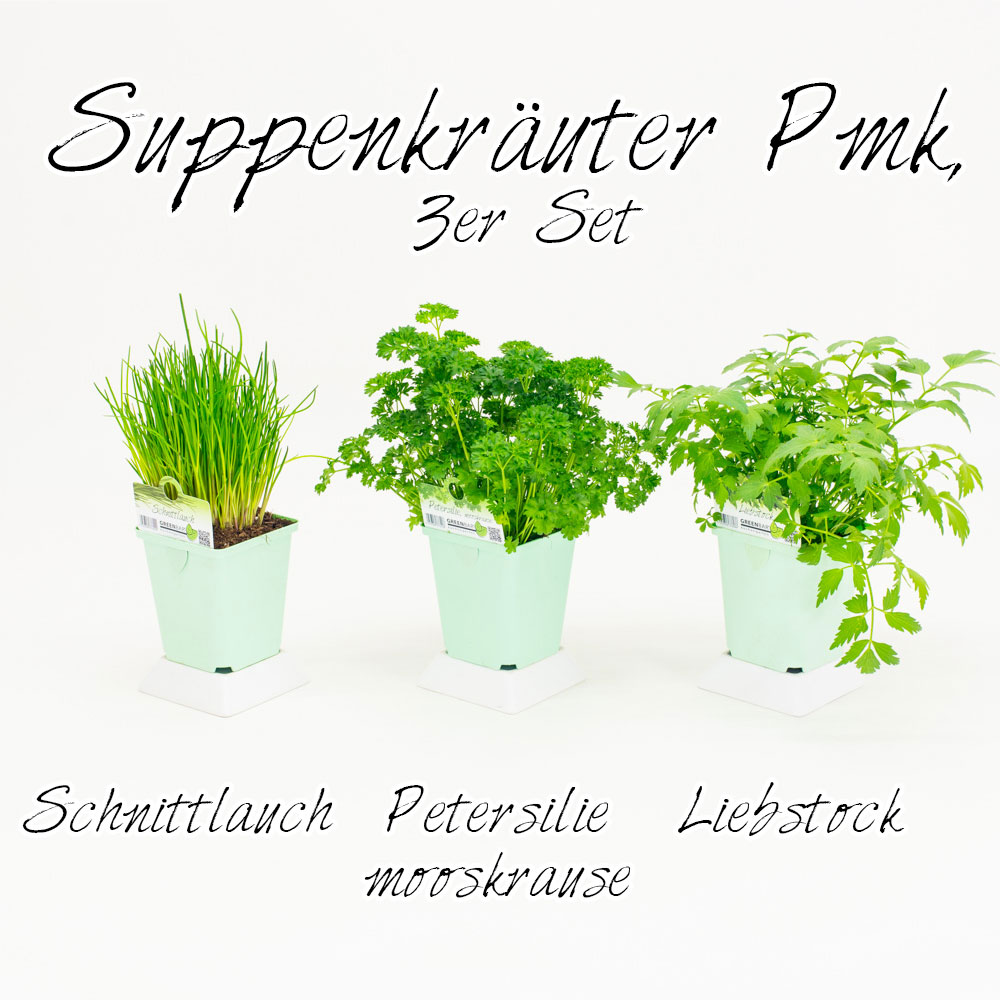 Suppenkräuter Pmk, 3er Set