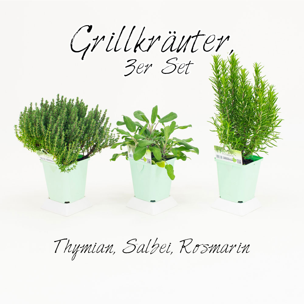 Grillkruter, 3er Set