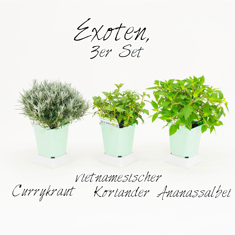 Exoten, 3er Set